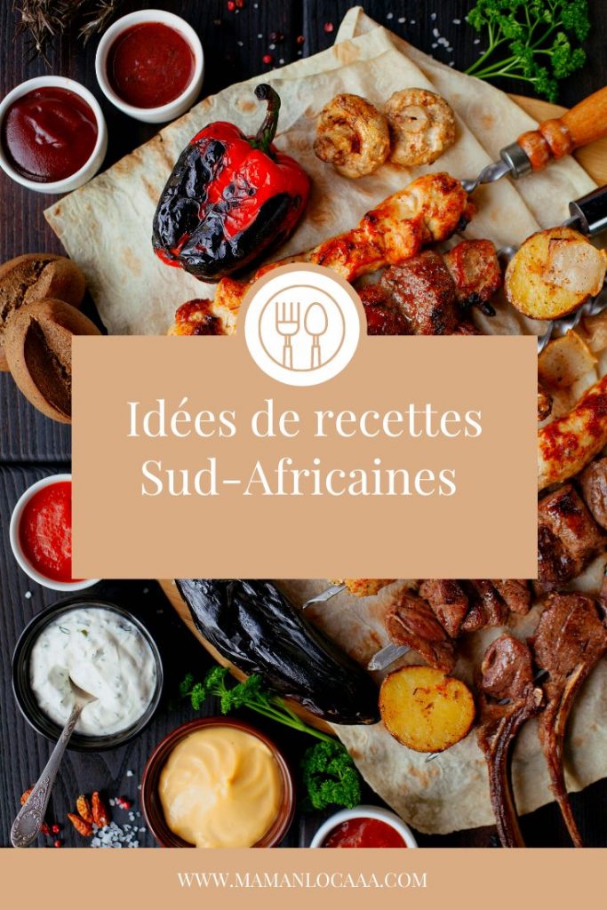 Idées recettes d'Afrique du sud